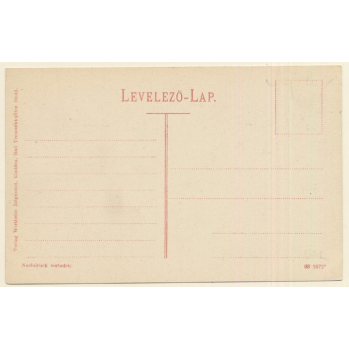 Trencénteplicz / Slovakia: Total View (Vintage PC ~1910s/1920s)