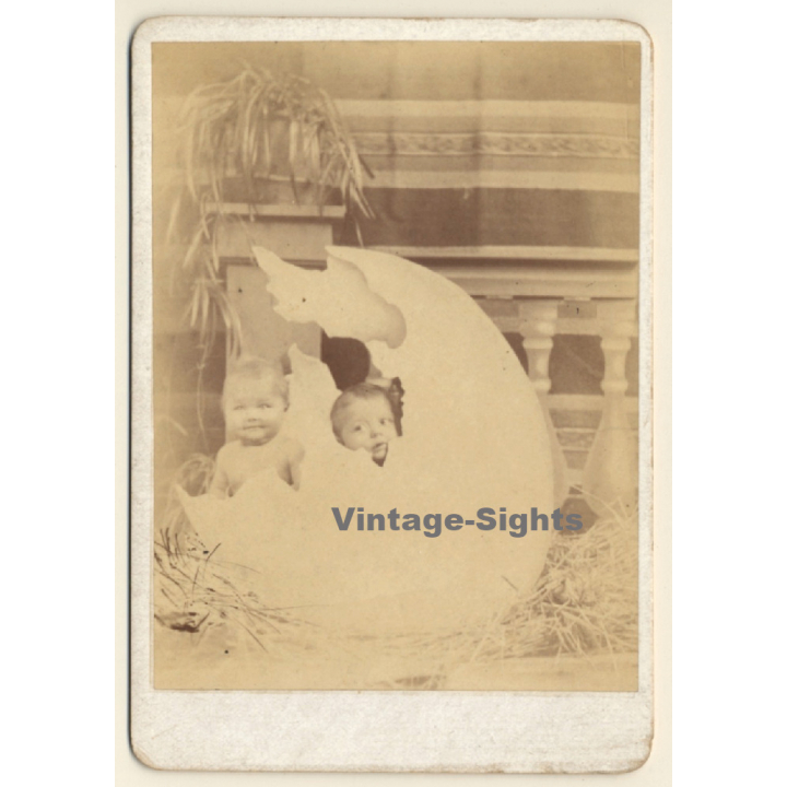 2 Babies In Large Eggshell / Funny - Sweet (Vintage Cabinet Card 1900s/1910s)