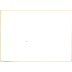 Erotic Study: Natural Busty Nude Looks At Camera (Vintage Photo GDR ~1970s/1980s)