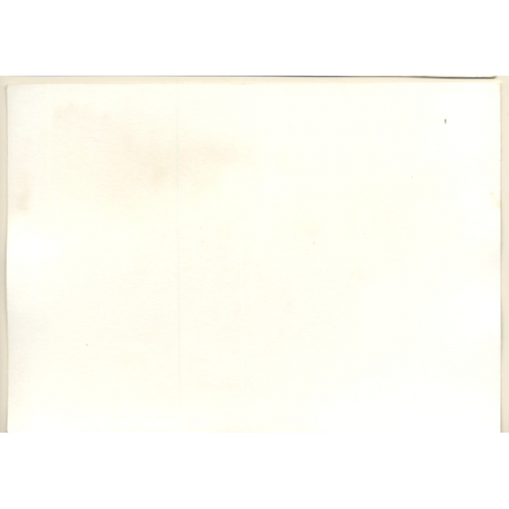 Erotic Study: Upper Body Of Longhaired Blonde Nude (Vintage Photo GDR ~1970s/1980s)