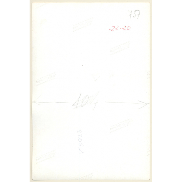 Felanitx / Mallorca: Total View  - Molino (Vintage Photo  ~1960s)