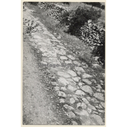 Alaró / Mallorca: Cami Roma de Son Palou a Bànyols / Ancient Roman Street (Vintage Photo ~1960s)