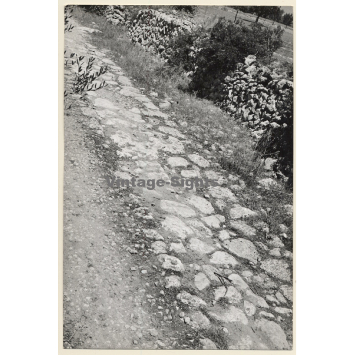 Alaró / Mallorca: Cami Roma de Son Palou a Bànyols / Ancient Roman Street (Vintage Photo ~1960s)
