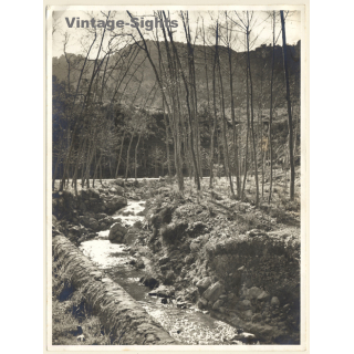 Esporles / Mallorca: Alrededores de Esporlas - Torrent (Vintage Photo ~1960s)