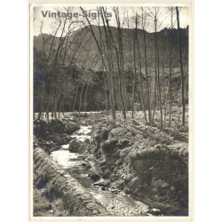 Esporles / Mallorca: Alrededores de Esporlas - Torrent (Vintage Photo ~1960s)