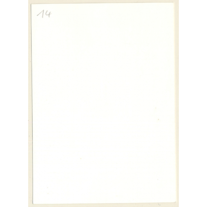 Erotic Study: Slim Natural Nude In Forest*1 / Standing (Vintage Photo GDR ~1970s/1980s)