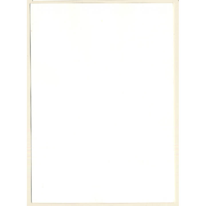 Erotic Study: Slim Natural Nude In Forest*2 / Standing (Vintage Photo GDR ~1970s/1980s)