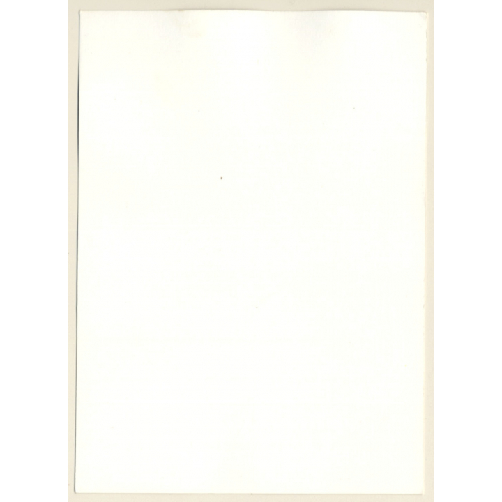 Erotic Study: Slim Natural Nude In Forest*3 / Lying In The Grass (Vintage Photo GDR ~1970s/1980s)