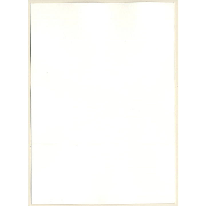 Erotic Study: Slim Natural Nude In Forest*6 / Sitting On Tree Trunk (Vintage Photo GDR ~1970s/1980s)