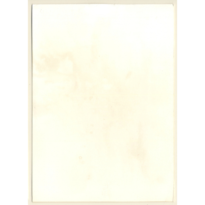 Erotic Study: Natural Shorthaired Nude Sitting Outdoors (Vintage Photo GDR ~1970s/1980s)