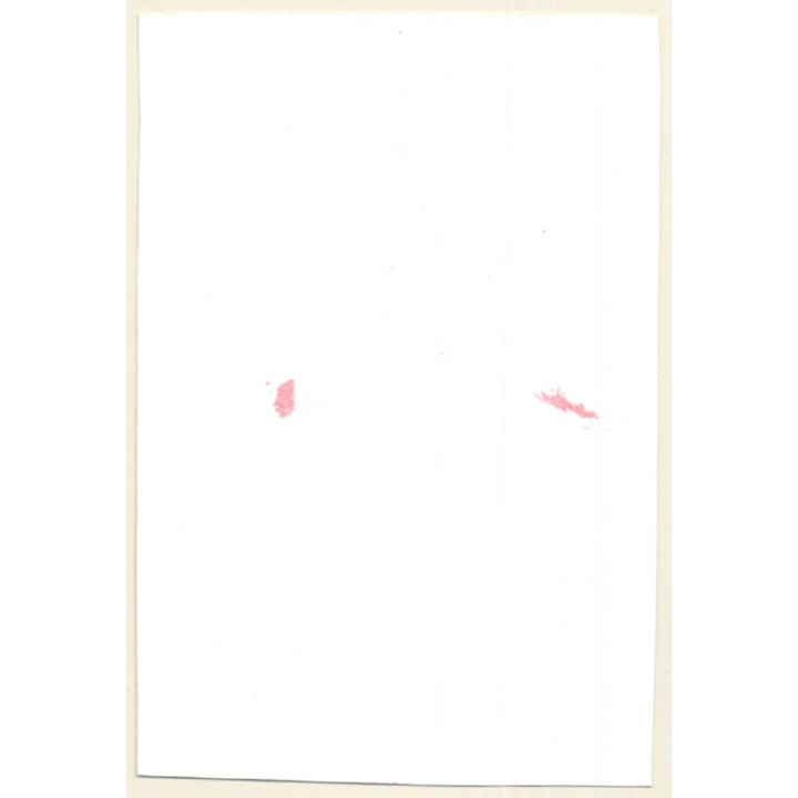 Rear View: Leggy Brunette Semi Nude Flashing Butt Outdoors (Vintage Photo ~1990s)