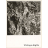 Mallorca: Aerial View Of Unidentified Village *2 (Vintage Photo ~1960s)