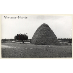 Mallorca: Huge Haystack - Hacina Del Heno (Vintage Photo ~1960s)