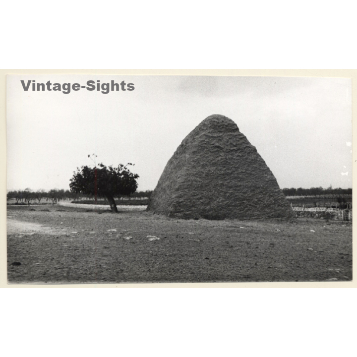 Mallorca: Huge Haystack - Hacina Del Heno (Vintage Photo ~1960s)