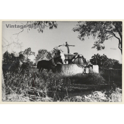 Mallorca: Horse Powered Rural Water Well / Pozo De Aqua (Vintage Photo ~1960s)