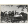 Mallorca: Horse Powered Rural Water Well / Pozo De Aqua (Vintage Photo ~1960s)
