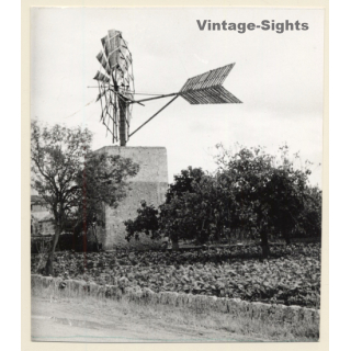 Mallorca: Water Mill / Molino De Viento Extracción De Aqua (Vintage Photo ~1960s)
