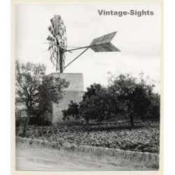 Mallorca: Water Mill / Molino De Viento Extracción De Aqua (Vintage Photo ~1960s)