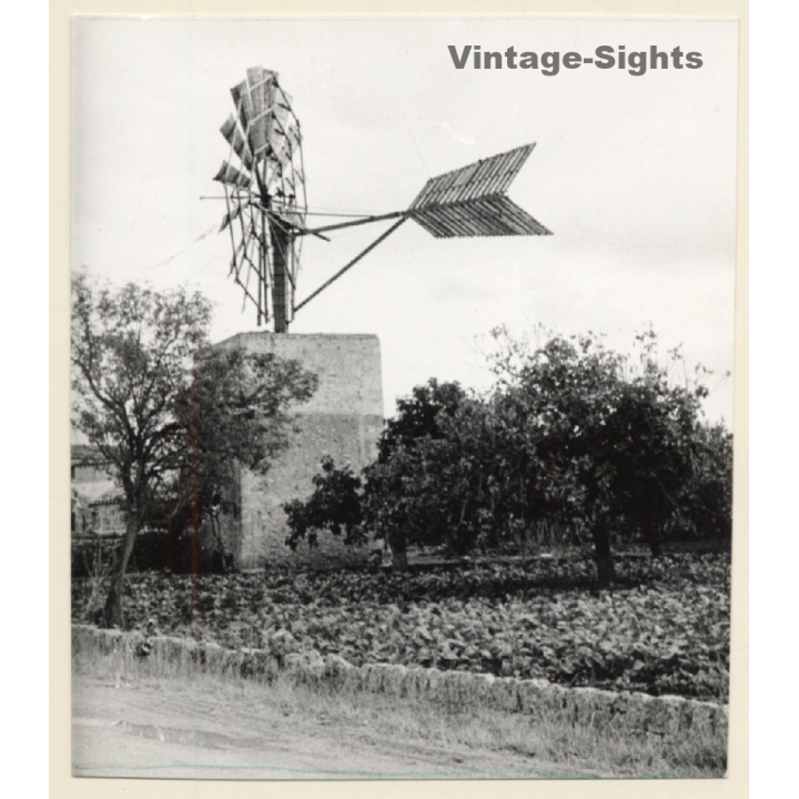 Mallorca: Water Mill / Molino De Viento Extracción De Aqua (Vintage Photo ~1960s)