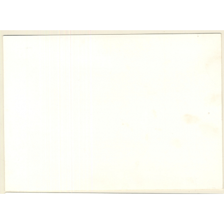 Erotic Study: Kneeling Nude Brunette Looks At Camera (Vintage Photo GDR ~1970s/1980s)