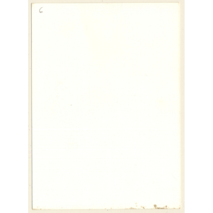 Erotic Study: Natural Nude Blonde In Reeds*1 (Vintage Photo GDR ~1970s/1980s)