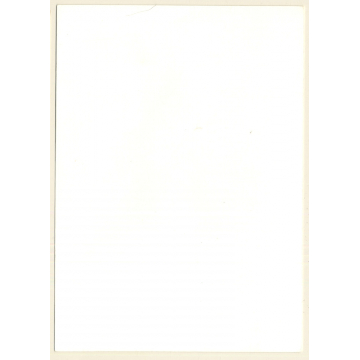 Erotic Study: Slim Longhaired Nude Outdoors*1 / Standing (Vintage Photo GDR ~1970s/1980s)