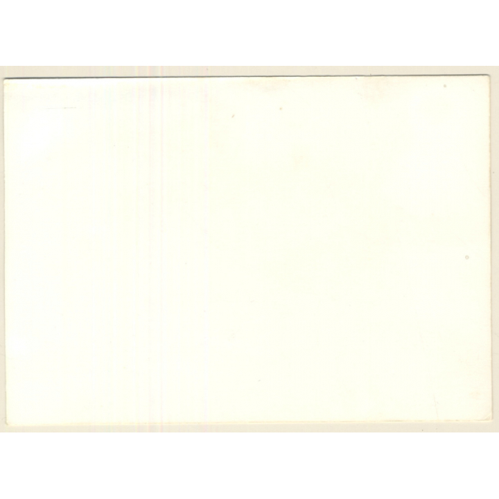 Erotic Study:  Rear View Of Semi Nude Female On Picnic Blanket (Vintage Photo GDR ~1970s/1980s)