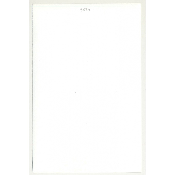 Serious Semi Nude / Panties - Strong Look (Vintage Photo B/W 1980s)