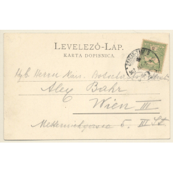Zagreb / Croatia: Partial View - Park (Vintage PC STENGEL & CO 1907)