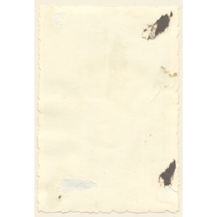 Shorthaired Blonde Bikini Pin-Up Model (2nd Gen. Photo ~1950s)