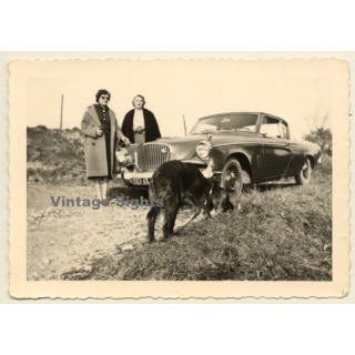 2 Cool Females, An Irish Setter & A Studebaker Flighthawk / Oldtimer (Vintage Photo ~1960s)