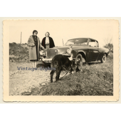 2 Cool Females, An Irish Setter & A Studebaker Flighthawk / Oldtimer (Vintage Photo ~1960s)