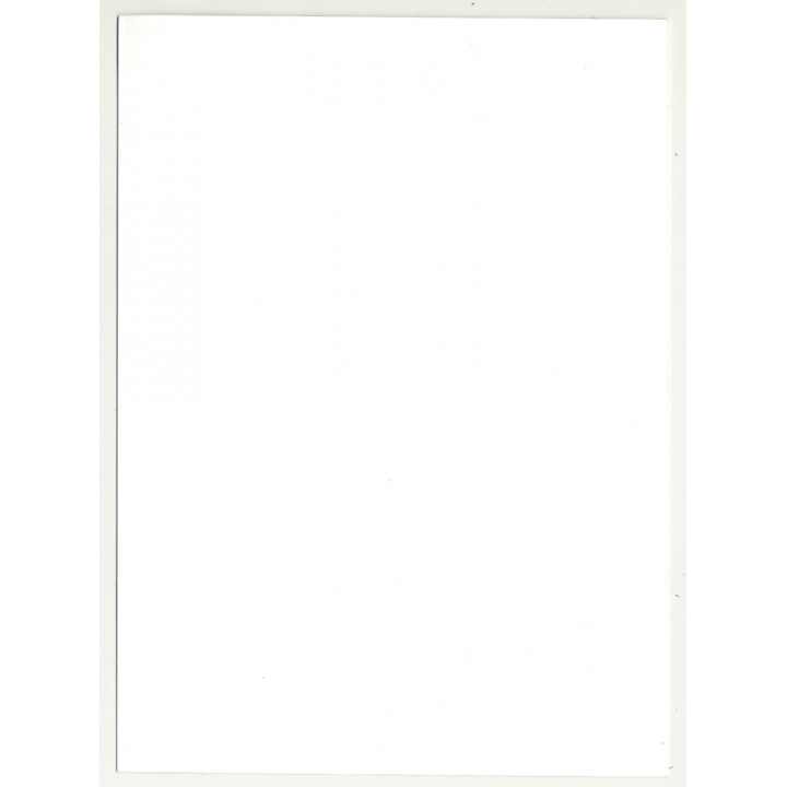 Happy Busty Nude On Rock / Outside - Nature (Vintage Photo B/W 1980s)