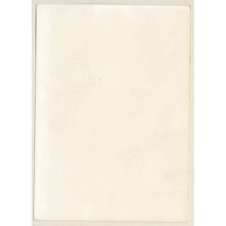 Erotic Study: Busty Semi Nude Undressing In Forest (Vintage Photo GDR ~1970s/1980s)