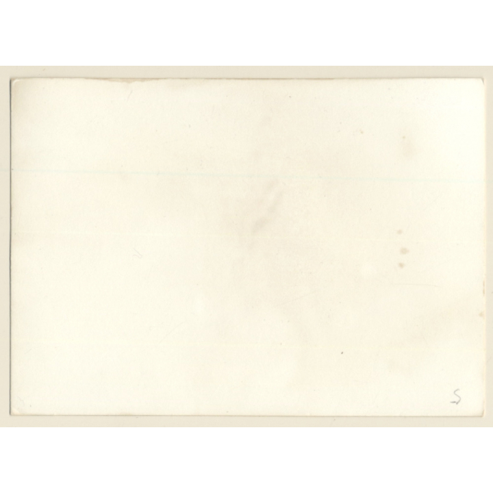 Erotic Study: Longhaired Semi Nude On Picnic Blanket (Vintage Photo GDR ~1970s/1980s)