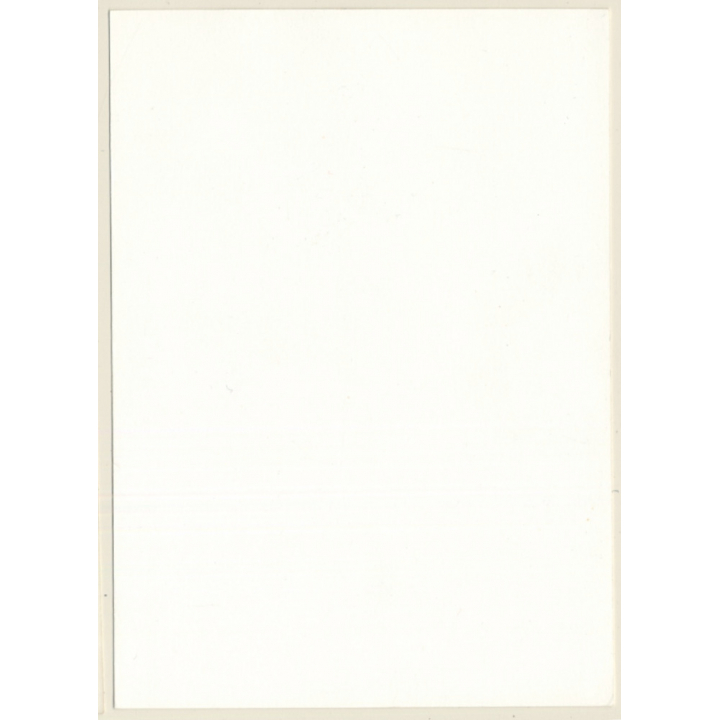 Erotic Study: Natural Shorthaired Nude Leaning Against Tree (Vintage Photo GDR ~1970s/1980s)