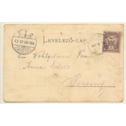Gyuláról / Hungary: Gróf Almássy Kastély (Vintage PC 1900)