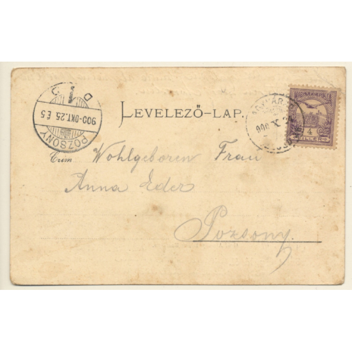 Gyuláról / Hungary: Gróf Almássy Kastély (Vintage PC 1900)