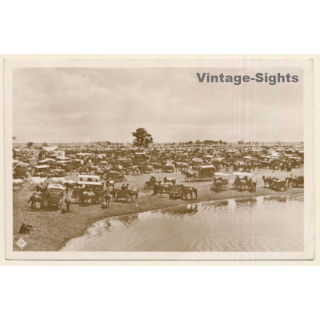 Hungary: Weekly Market On The Hortobágy (Vintage RPPC)