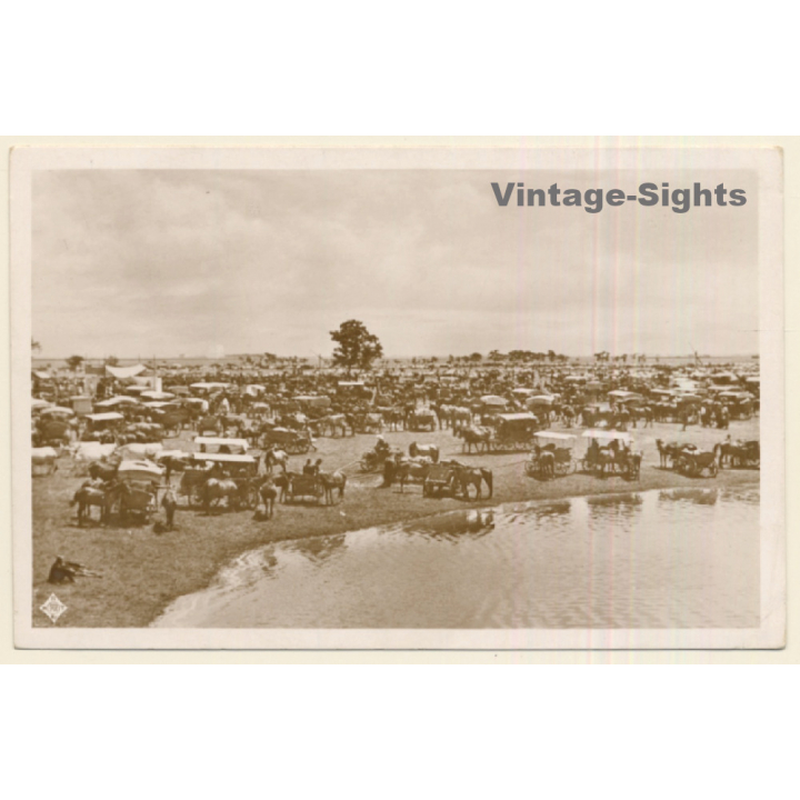 Hungary: Weekly Market On The Hortobágy (Vintage RPPC)