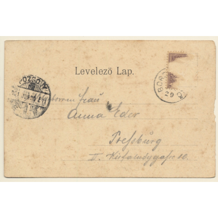 Borostyánköröl - Bernstein / Austria (Vintage PC A.Pelnitscher 1901)