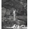 Erotic Study by George Brauer: Nude Pin-Up Alecia Francone On Rocks (Vintage Contact Sheet - 12 Photos 1970s/1980s)