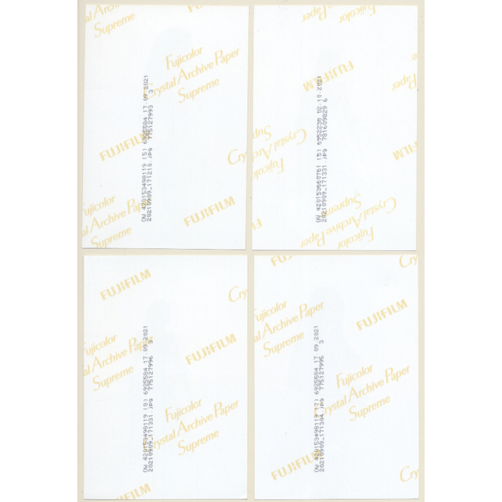 Artistic Erotic Study: Slim Busty Nude Brunette Outdoors (Set Of 4 Digital Photos)