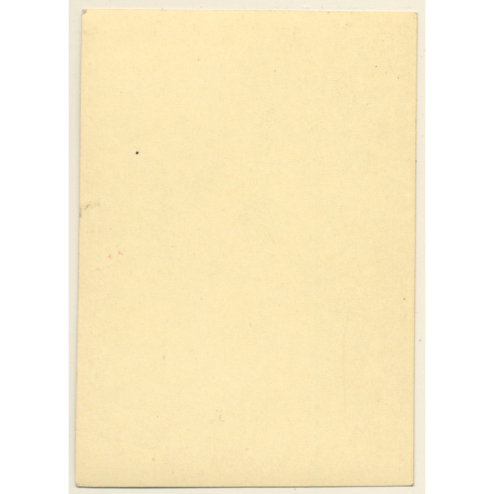 Citroen Traction Avant 11 / Oldtimer (Vintage Photo 1950s)