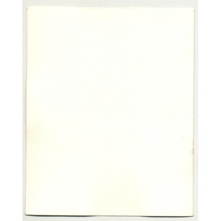 Chief Ed Crazy Horse - Omaha / F.A. Rinheart (Vintage Collectors' Photo: American Indians)