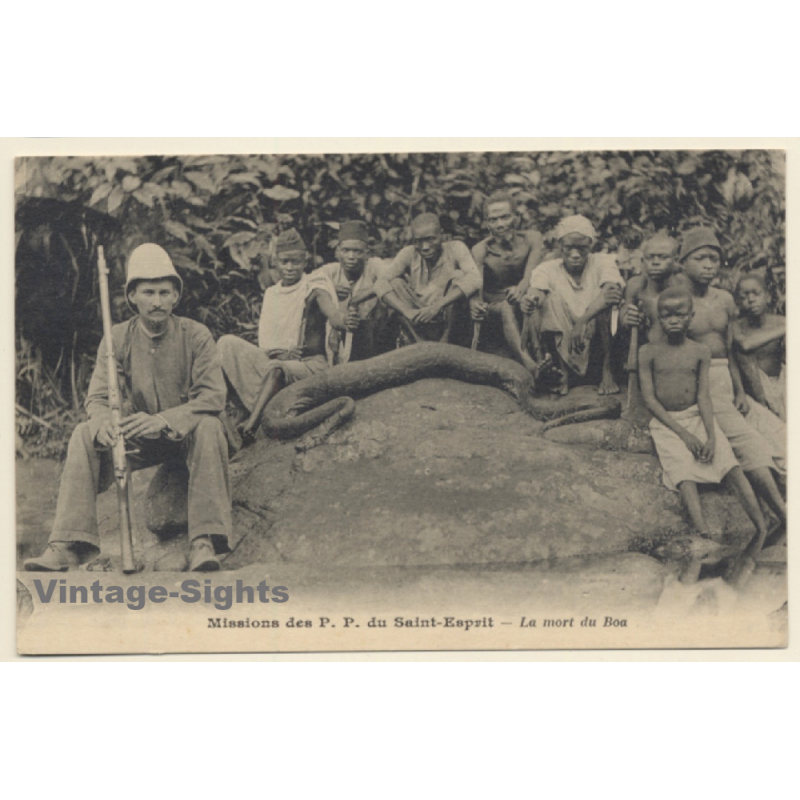 Missions Des P.P. du Saint-Esprit - La Mort Du Boa (Vintage PC 1910s)