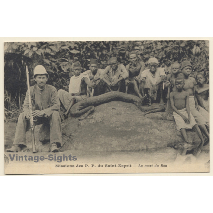 Missions Des P.P. du Saint-Esprit - La Mort Du Boa (Vintage PC 1910s)