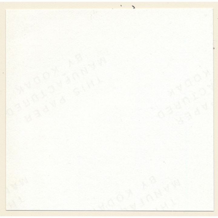 Erotic Study: Brunette Nude Lingering On Bed*4 (Vintage Contact Sheet Photo 1970s/1980s)