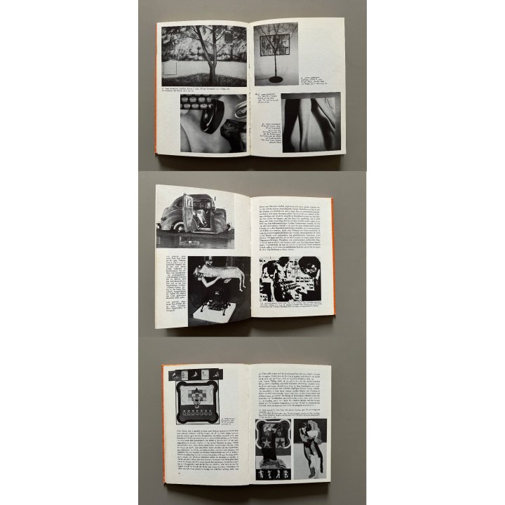 Lucy R. Lippard: Pop Art (Vintage Book 1968)