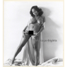 Erotic Study: Busty Dark-Skinned Nude Pulls Down Panties (Vintage Photo KORENJAK 1970s/1980s)